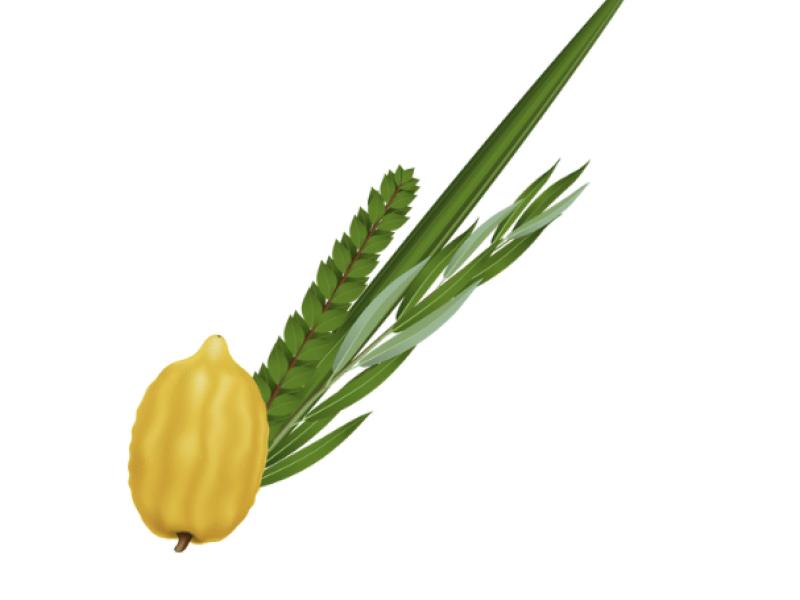 Jewish holidays and traditions