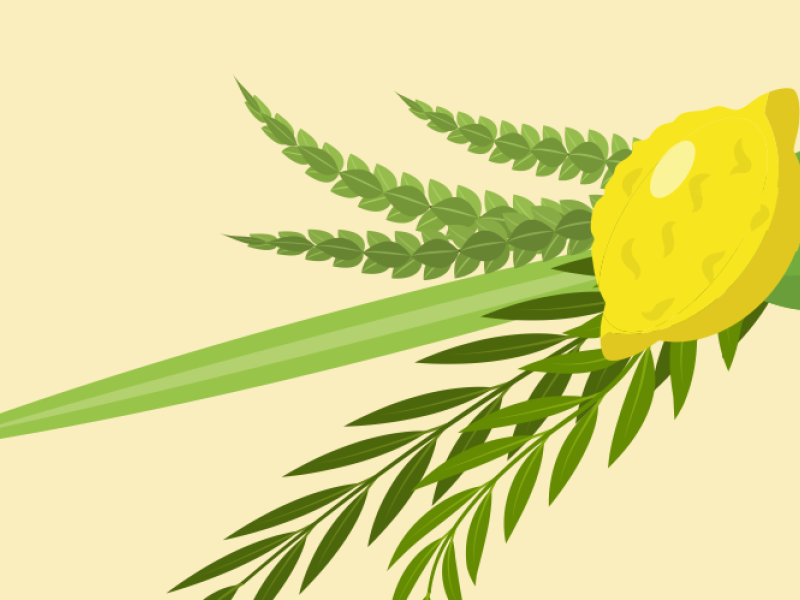 SUKKOT AND SIMCHAT TORAH